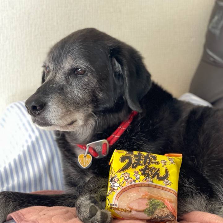 D4fb3169 fd47 4ddb a714 27e4b3370309 1759056011301