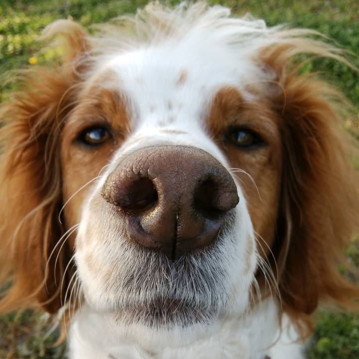 D4fb46b2 5211 4fca 864f 6283ea7f35ca 1523619640800