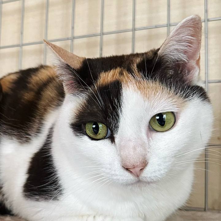 D4fb5e1f ac0c 4e52 ab58 6384d06b4e1a 1687829303410