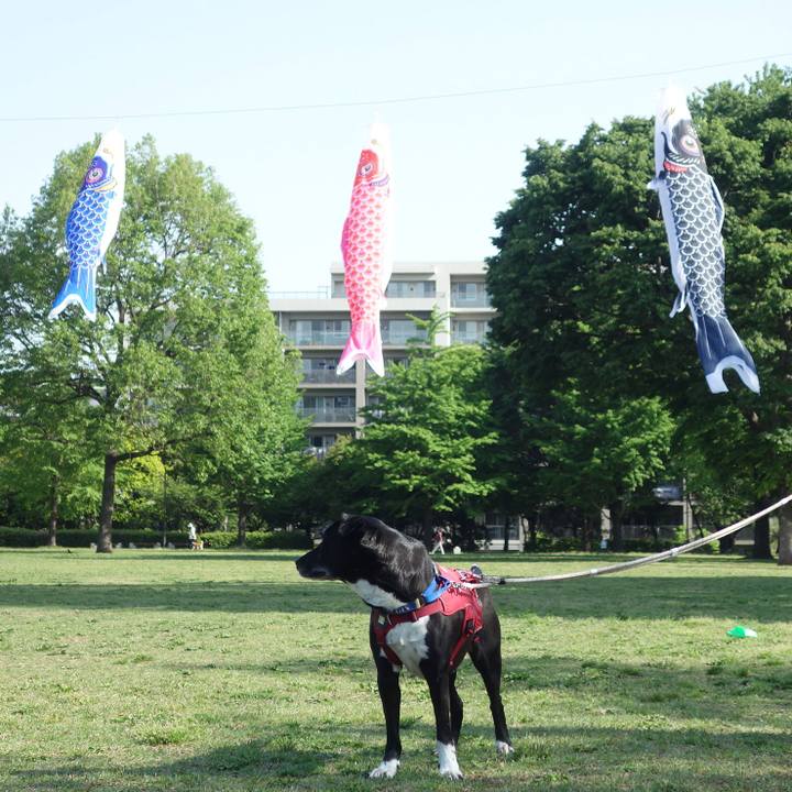 D4fb6b7e 3658 4416 858f 9b3a32d34d42 1682651387169