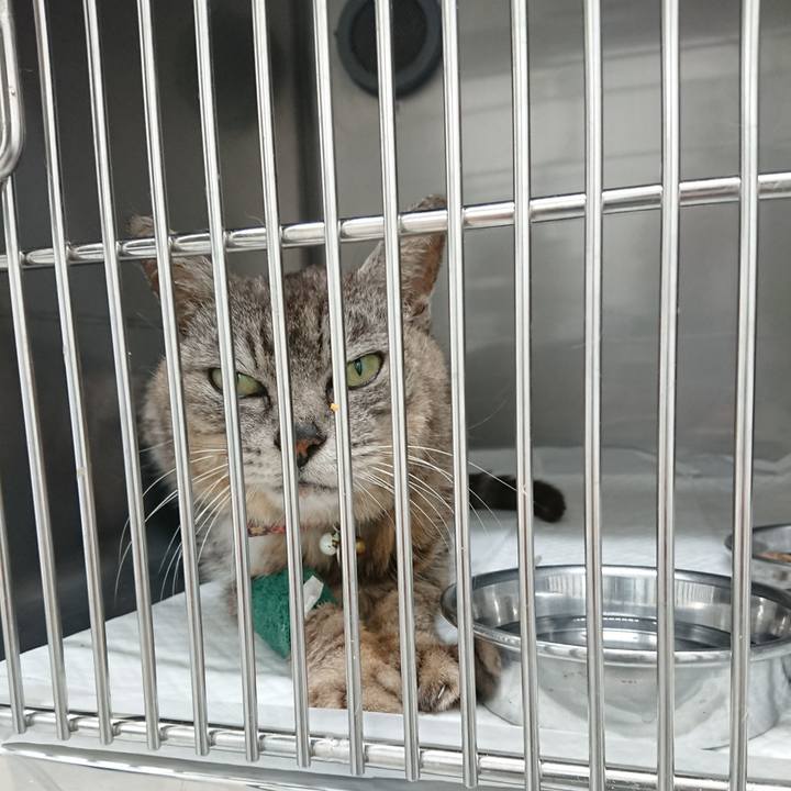 D4fbb35f 9b28 4c2f 98e4 9cfea060a740 1597914016821