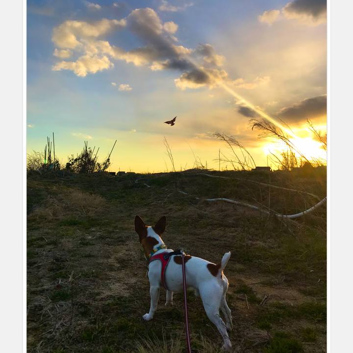 D4fbbd18 d50a 4c81 9ed7 db96163acf71 1515759945231