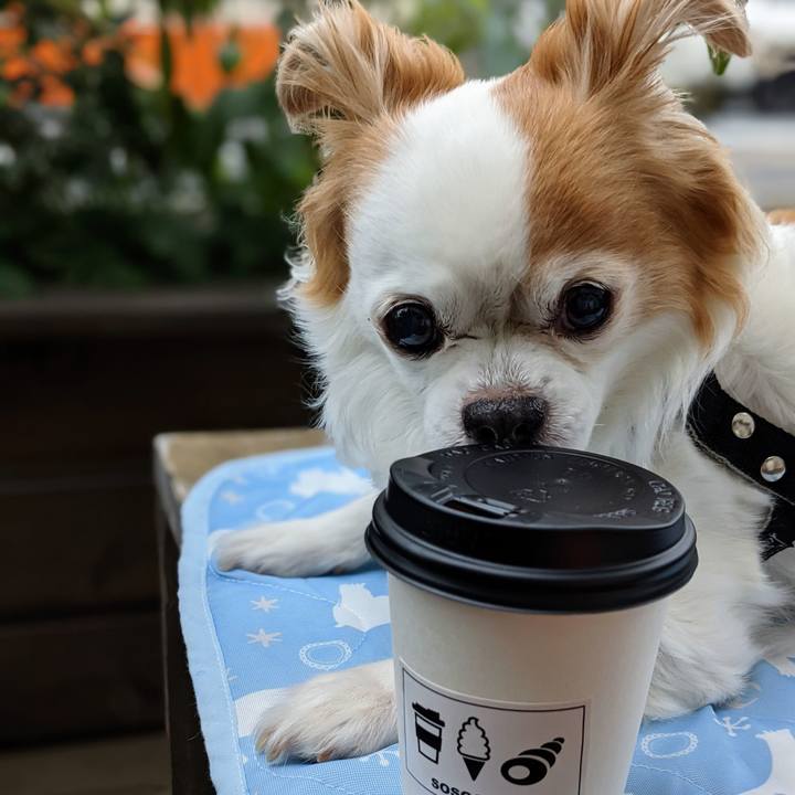 D4fbd24b 2442 4335 b58a 0bd043b0df36 1622874233743