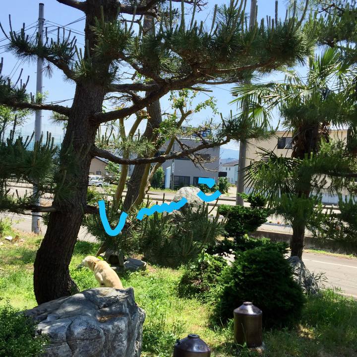 D4fc36e5 92eb 4ed2 b5aa 8b94091a3dfe 1527993197498