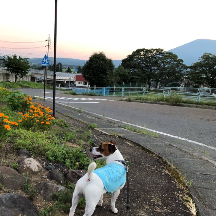 D4fc551c 5657 4e5c 8e2e e3dc49aac50c 1597843525174