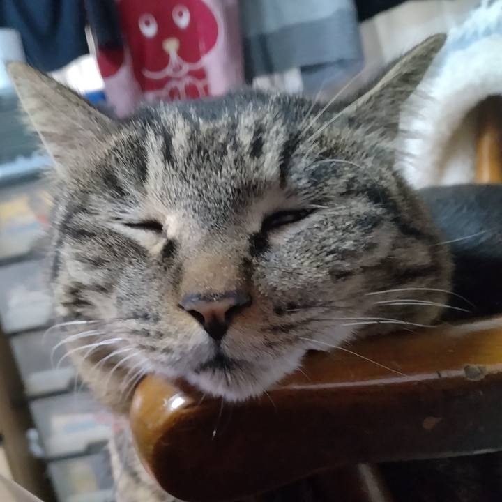 D4fc9d32 b8c7 43ef a1ec 77d64e15a27a 1677281605566