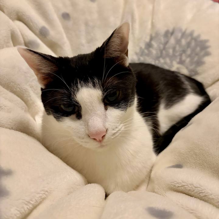 D4fcf9b4 10f5 4238 818c 0c6e6e093b1b 1766753723559