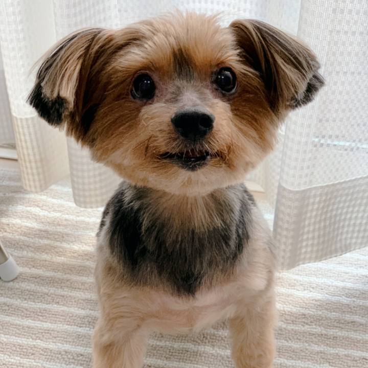 D4fd35c8 3611 41b8 9080 791860890766 1603515697798