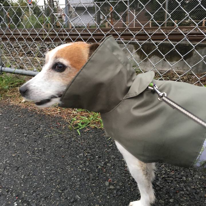 D4fd60eb cf88 4809 bda0 62993cf63dd8 1633131108076