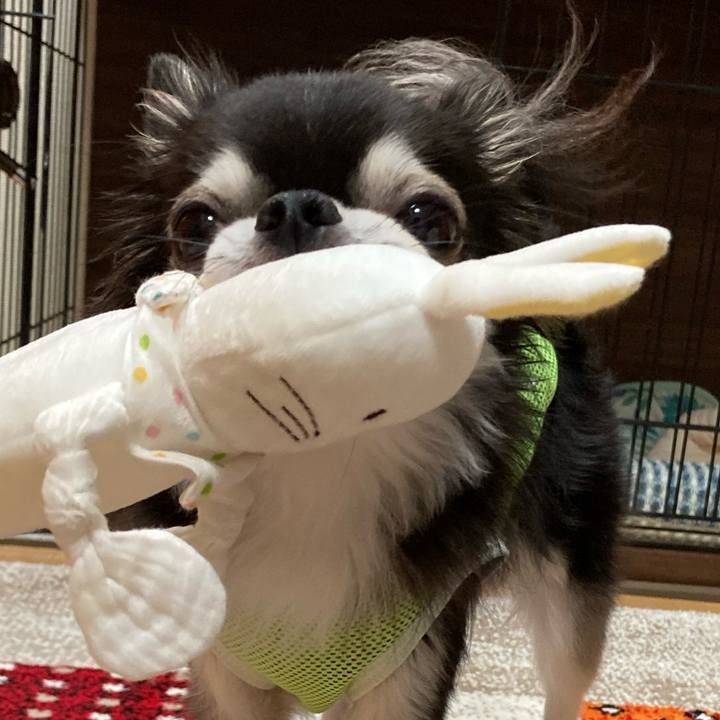 D4fd723c 06f1 4f9f 8b74 3db1305fac1a 1689606542644