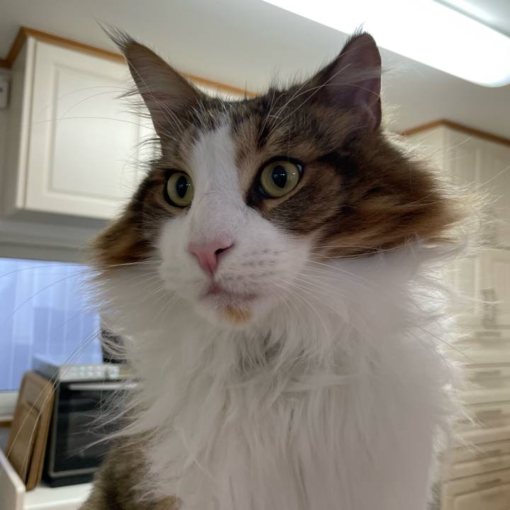 D4fdc1f5 216b 4075 b28a 70a942916bc4 1663103327117