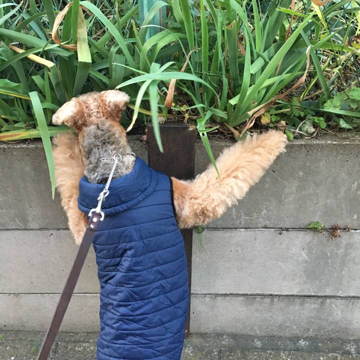 D4fdd1bc 3ce2 4301 9257 f3cb74ff8978 1511079548360