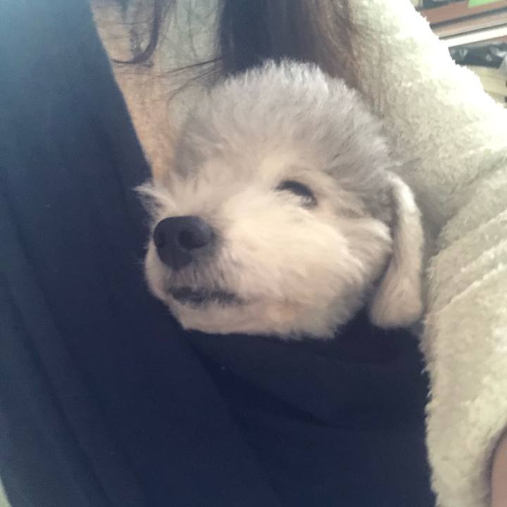 D4fddfa9 135b 4e18 9f04 9b1504c68bbc 1610407400499