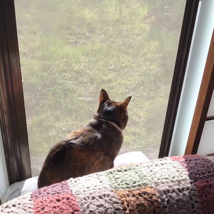 D4fde7cf f266 497f 9bc7 49f09e212bdb 1616022062135