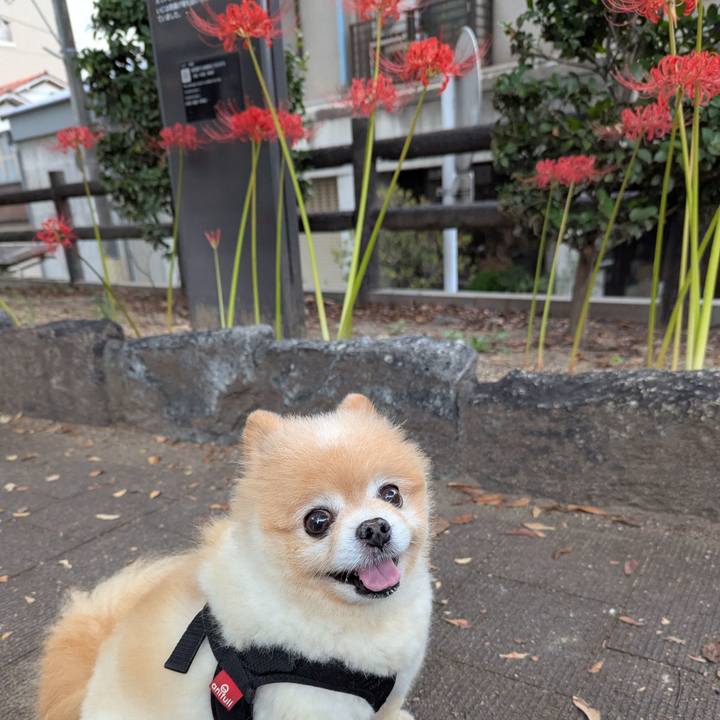 D4fdf2a6 406e 4941 a002 2a0a713c8df6 1759450428992