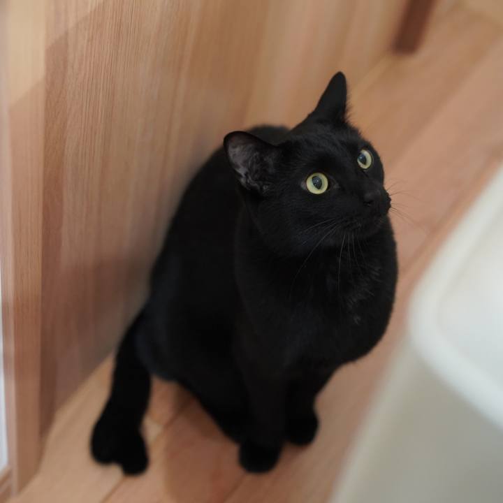 D4fe18b3 6b86 4420 be6f 27a3d8aa171c 1653719761759