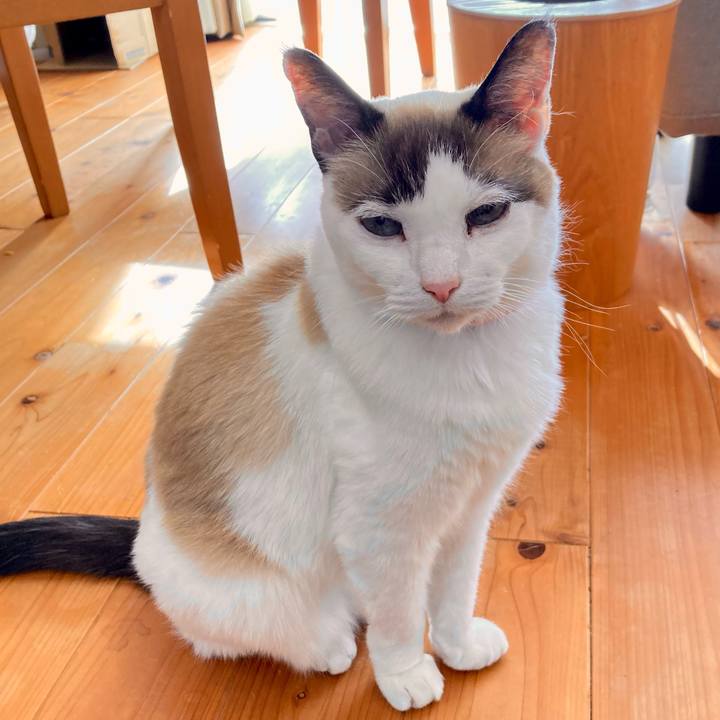 D4fe5b70 6e87 43ae 9e1a 0783494562db 1673078155452