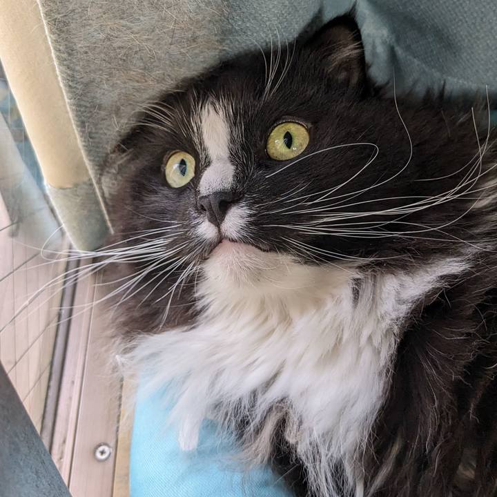 D4fe5f70 da01 4ff6 a579 b4e1188113fd 1711873865561