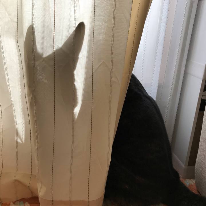 D4fe8535 e82e 4f0e 888c e30293bf3504 1541326812019