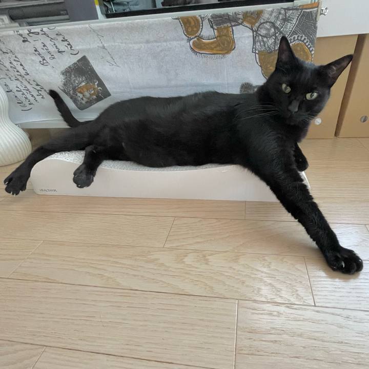 D4fe9426 e812 4f51 9ab9 319a31d24172 1662982437918