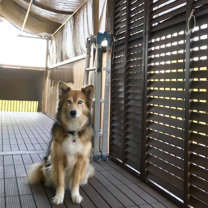 D4fe9f24 5339 4506 ae93 94c7db0918e8 1591603732122