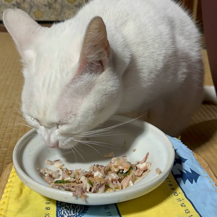 D4feaf17 fe69 4477 83d0 c6b28653c306 1768472316099