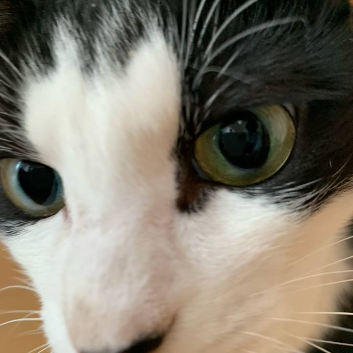 D4fec962 3539 49cb 9a82 997b9ad054f2 1668815942649