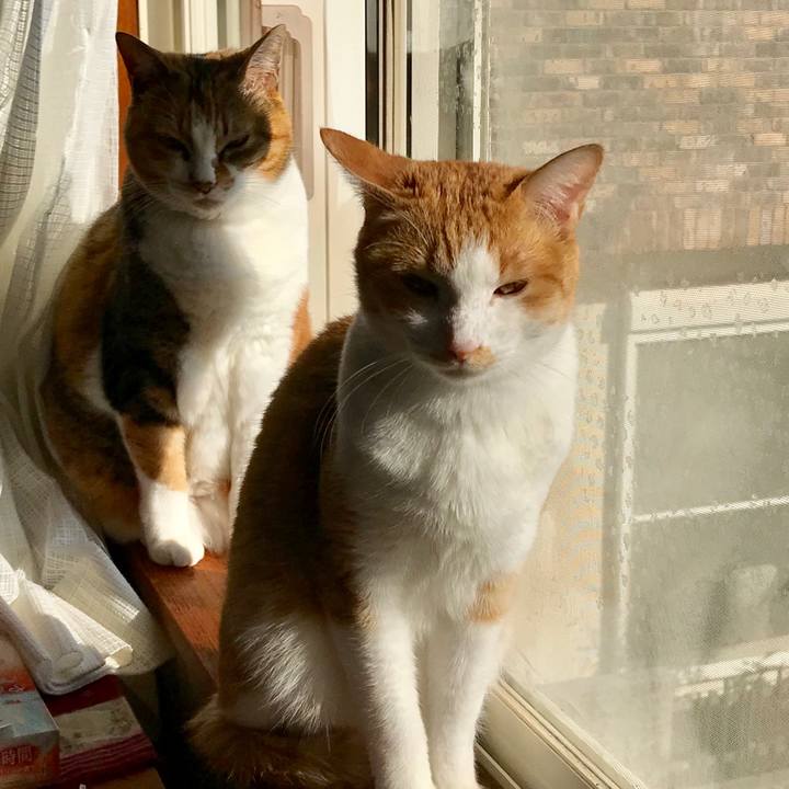 D4fed0eb 8fef 4648 bc16 d6ea73100ca1 1546650947862