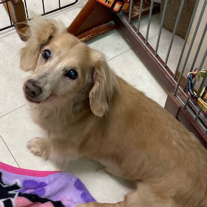 D4ff0230 68d7 49fb be42 e26d3360c651 1633424713352