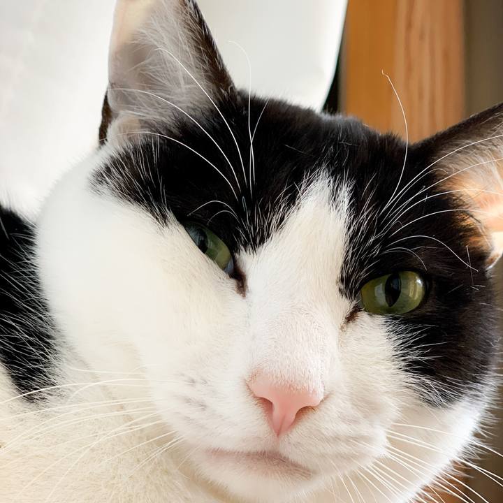 D4ff16df 0766 4718 834c 9da008d91848 1581731115601