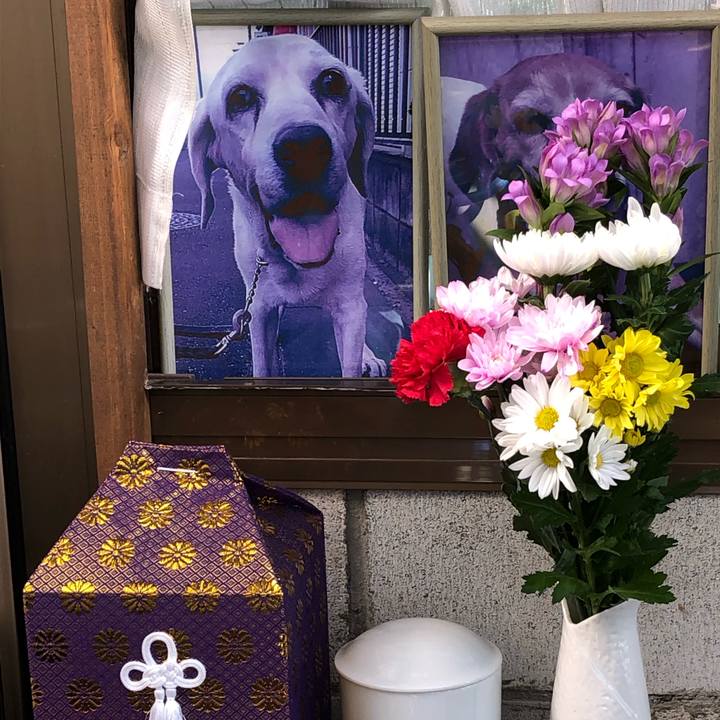 D4ff2620 4ae3 4066 9f51 c707c05ed110 1604107735956