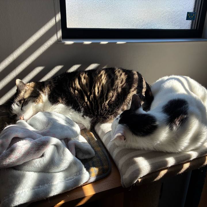 D4ff4a24 5b69 42cf b928 23520e25f4e8 1770691295416