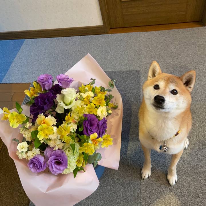 D4ff55fc e082 4b5e 8a96 dcdb20a13971 1639491001412