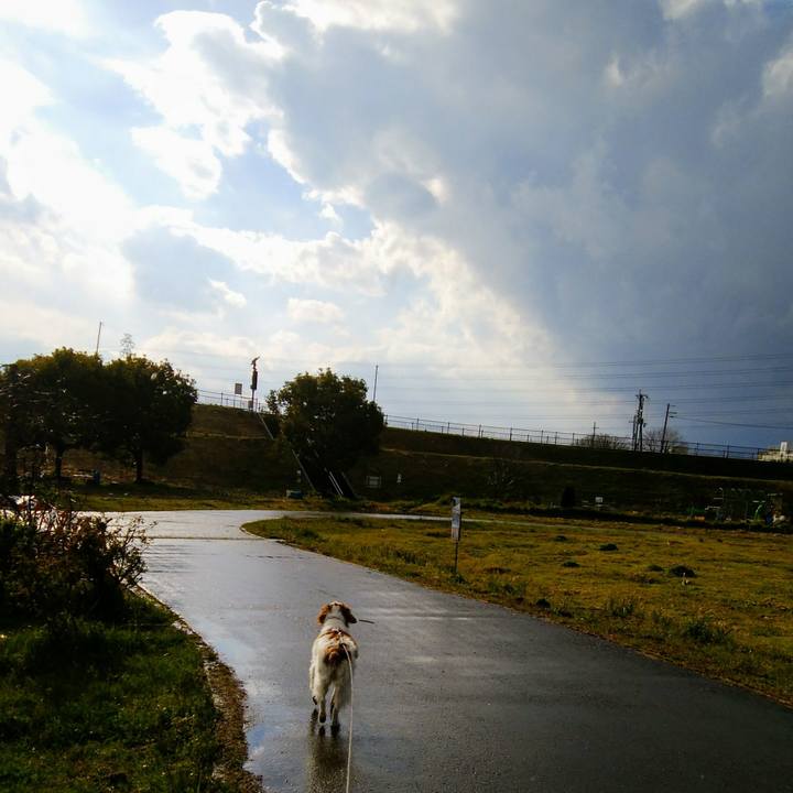 D4ff5a8e b6e9 447f 9fce 0d459b94b90b 1552808752098