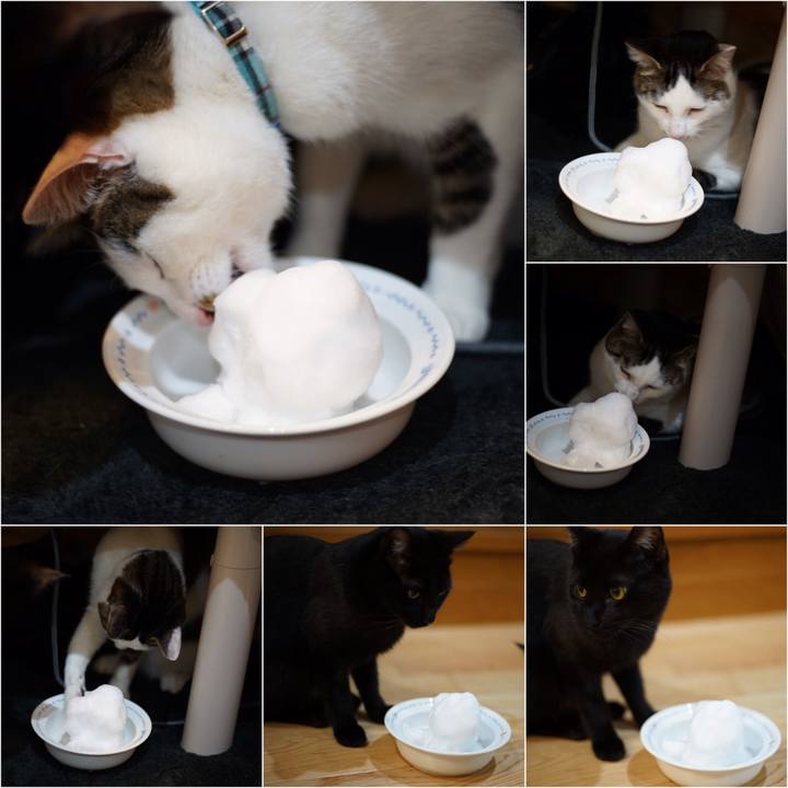 D4ff5bb8 17af 412f 870f d18f0cc4a7db 1516629164545