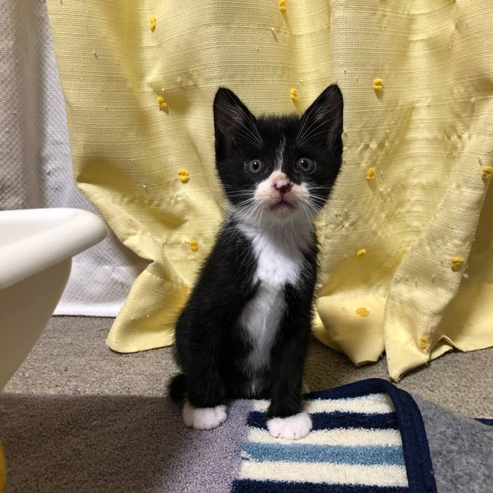 D4ff6108 ee91 4559 bfc5 8058cbe23a75 1537593158568