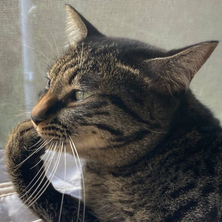 D4ff62b4 3fa2 4427 8660 b6a28ce6b2ee 1634115153000