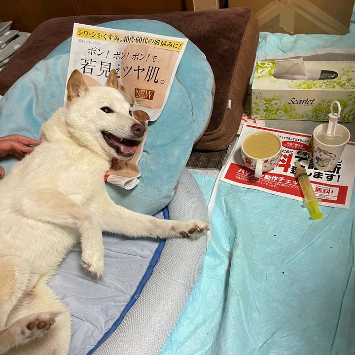 D4ff6a5a 8e53 433b 8b73 aa22c341f105 1655992350094