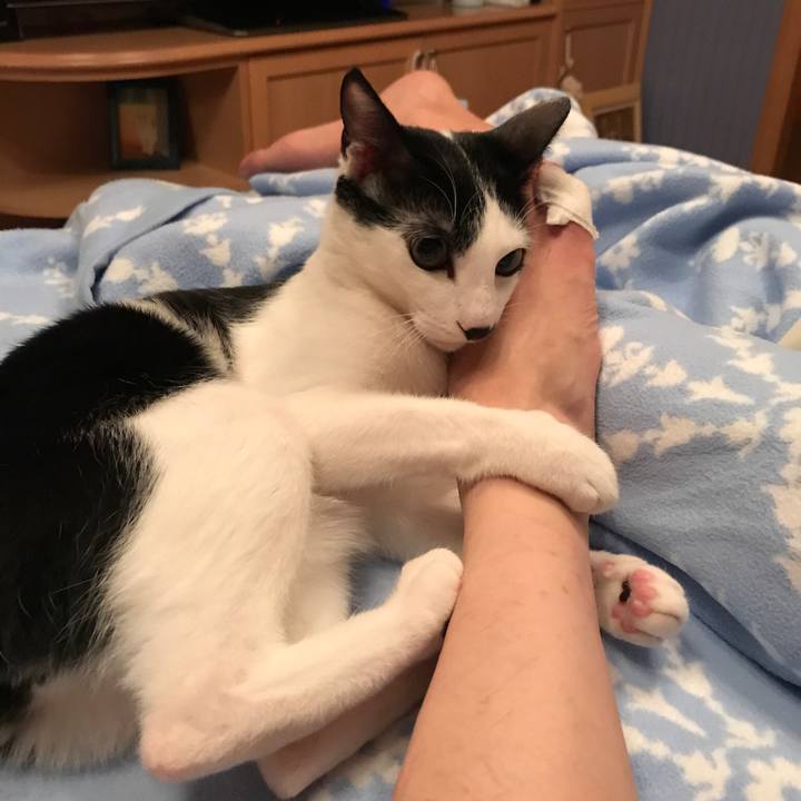 D4ff6e3d 7c78 4dca a2c4 6dac84998c03 1508626924564