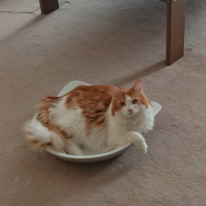 D4ff6f24 dcb3 4bb9 b042 98df2e79c4e8 1569389722023