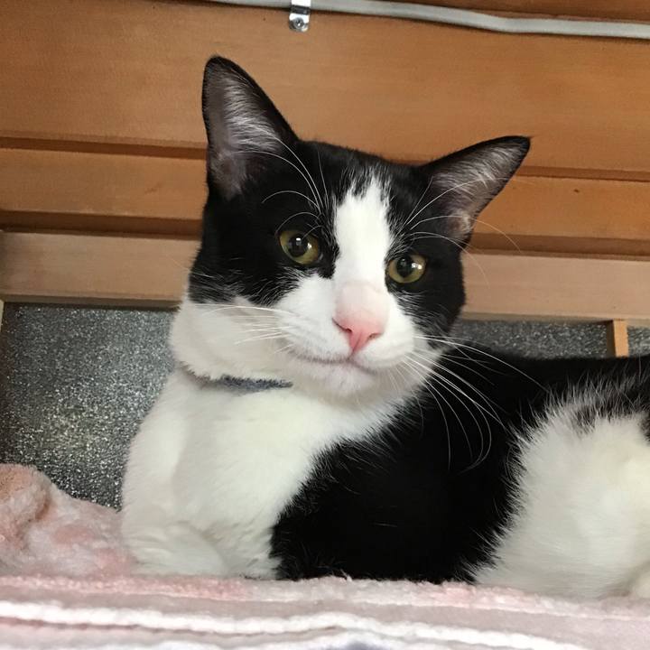 D4ff745e db34 4cff b002 c9b59221c678 1638058820894