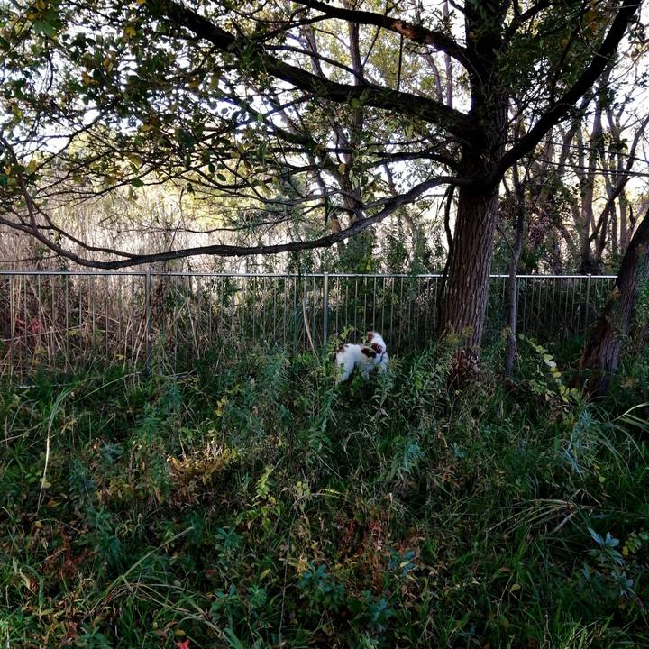 D4ff95cb 809e 428e 924b ab3f24894de1 1606122513164