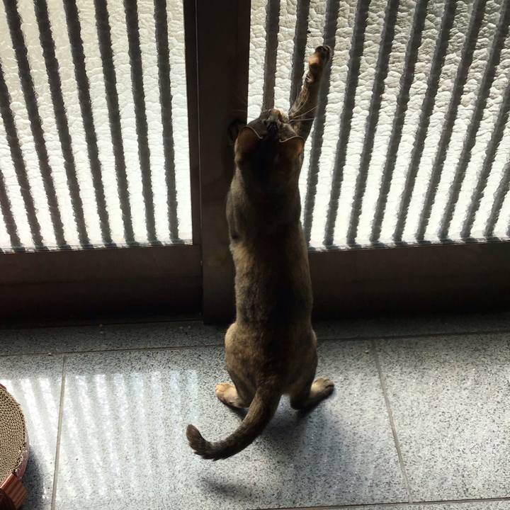 D4ff9837 7e64 40c8 a1e7 d47865917182 1584928159458