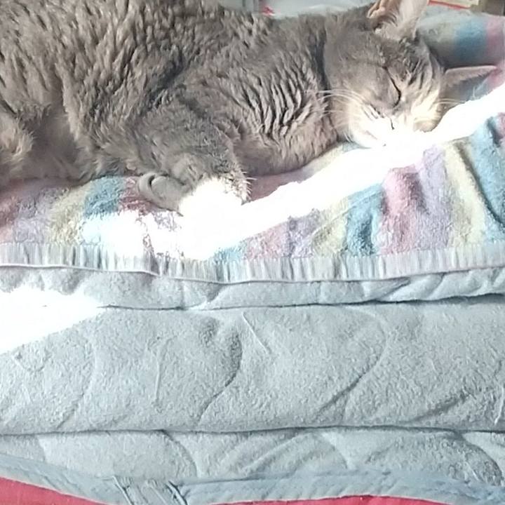 D4ffb57a 4397 4d04 ad19 125f02e13e94 1664666447095