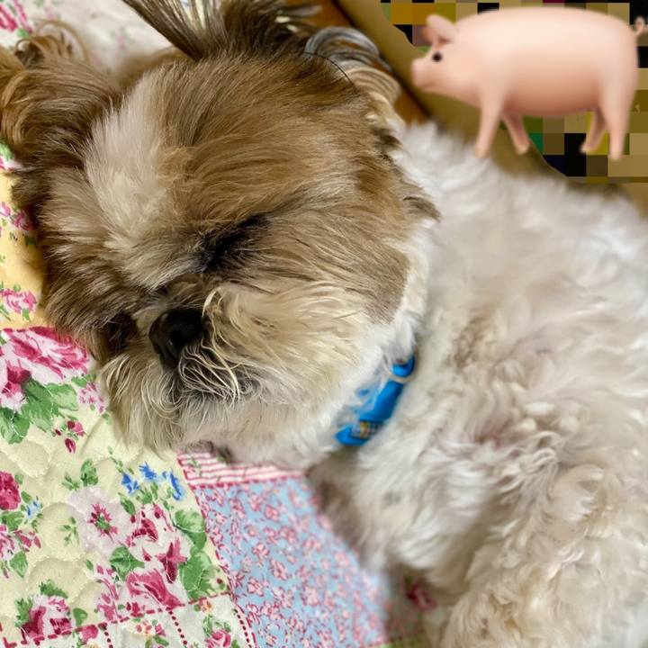 D4ffe398 2107 44a9 a3da 606535f6aae6 1623648756622