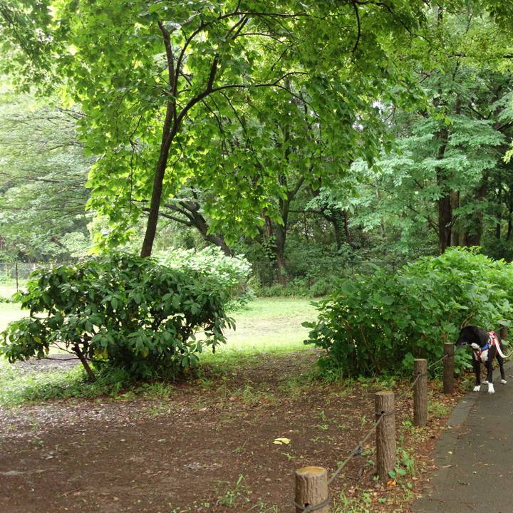 D50031d7 af9a 4ae5 8b5d b91181b7d698 1684542198190