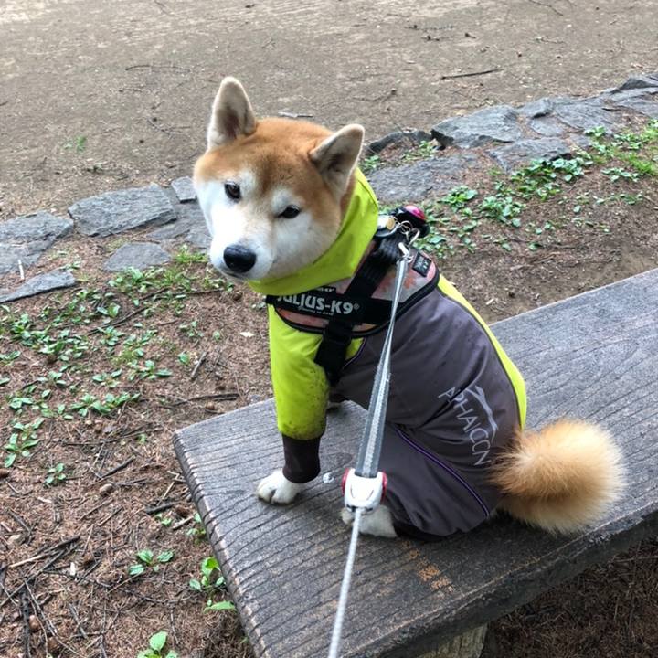 D5004539 c403 4526 b8f3 5d43bede3a3d 1558440293480