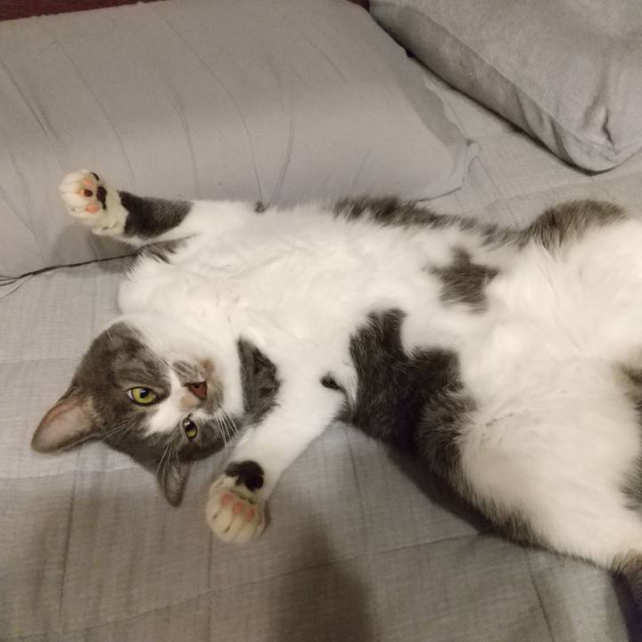 D5004c78 50ca 438d 8bf0 f79893f8659d 1625753223431