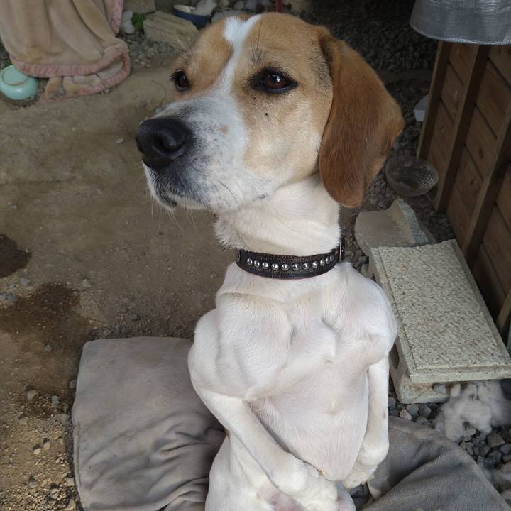 D5005465 3630 44cb aedf baea9c4f1d63 1643872039199