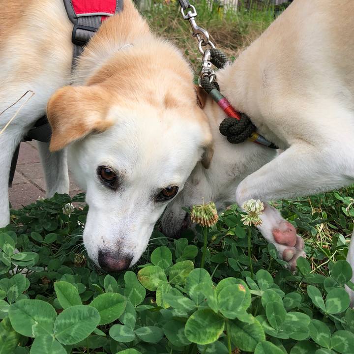 D5007fe7 1e4d 4191 9a22 ce24484e5129 1631078861700